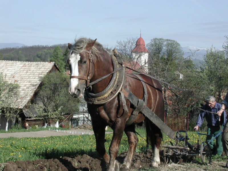pepajs.cz